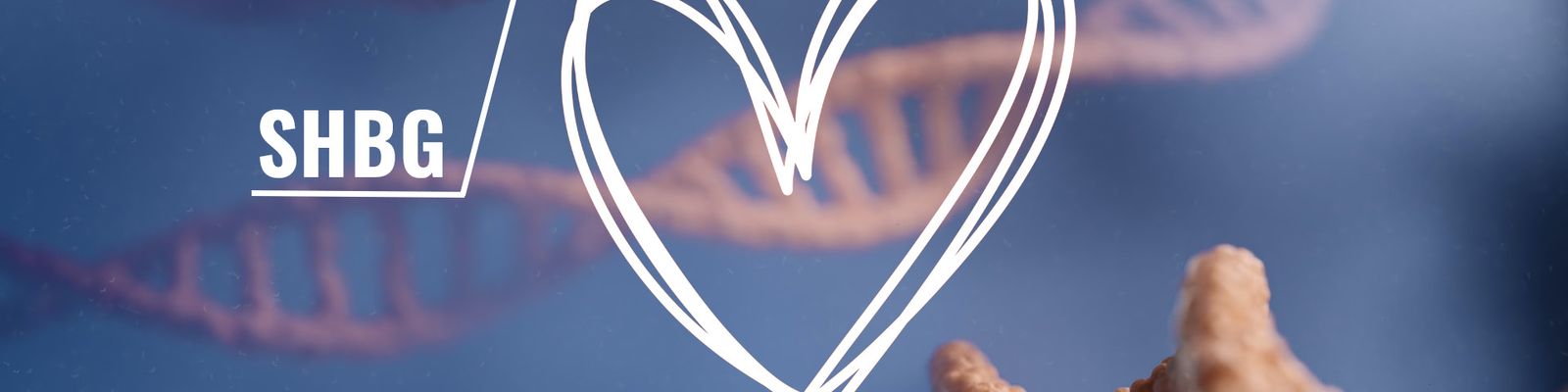 Splash image for Do Genetics Affect Sex Drive? - Tiger Medical Institute